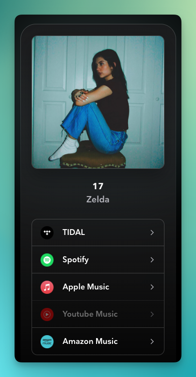Music streaming link card for the song ‘17’ by Zelda, showing cover art of a seated person in jeans and dark shirt.
