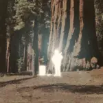 How to Know When Your Mix Is Done (Fresh Ears Test)