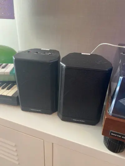 Dana_Realistics_ - 1