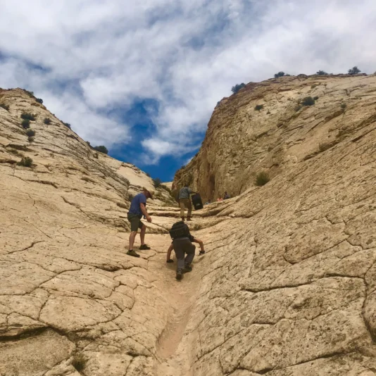 Escalante Utah Endless Field 2019 - - 3